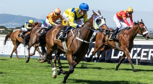 Kinaan wins Kenilworth Cup (Chase Liebenberg Photography)