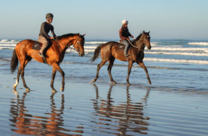 Woodhill Racing Beach Outing (photo:  hamishNIVENPhotography)