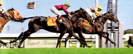 Sea Warrior wins the 1986 Richelieu Guineas