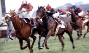 Champion. Olympic Duel fights out the finish with Wainui in the 1991 Gr1 Champion Stakes