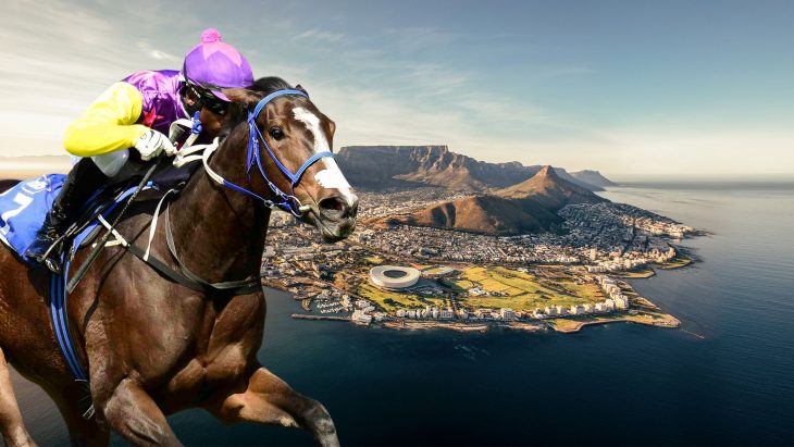 Cape Thoroughbred Sales