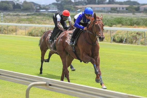 Grant van Niekerk gallops Elusive Silva (photo: Wayne Marks)