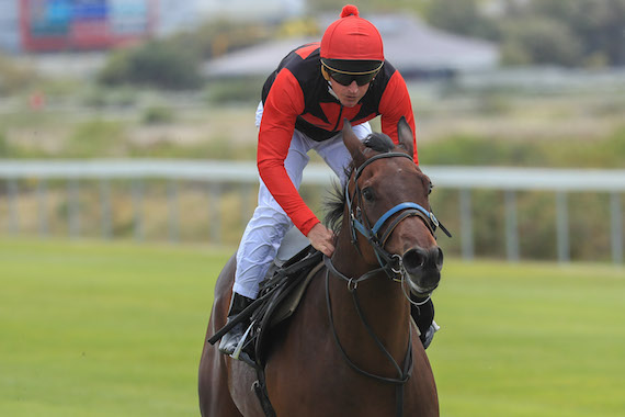 Bernard Fayd'herbe gallops African Night Sky (photo: Wayne Marks)