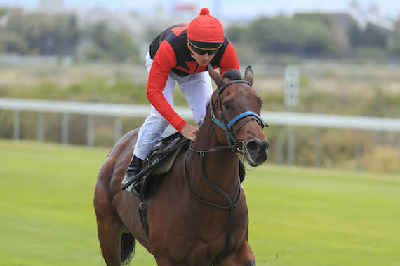 Bernard Fayd'herbe gallops African Night Sky (photo: Wayne Marks)