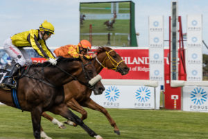 2017 Gr2 Premier Trophy, Milton, Bill Prestage, Gavin Lerena (photo: hamishNIVENPhotography)