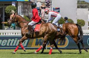 Royal Bounty (photo: hamishNIVENPhotography)