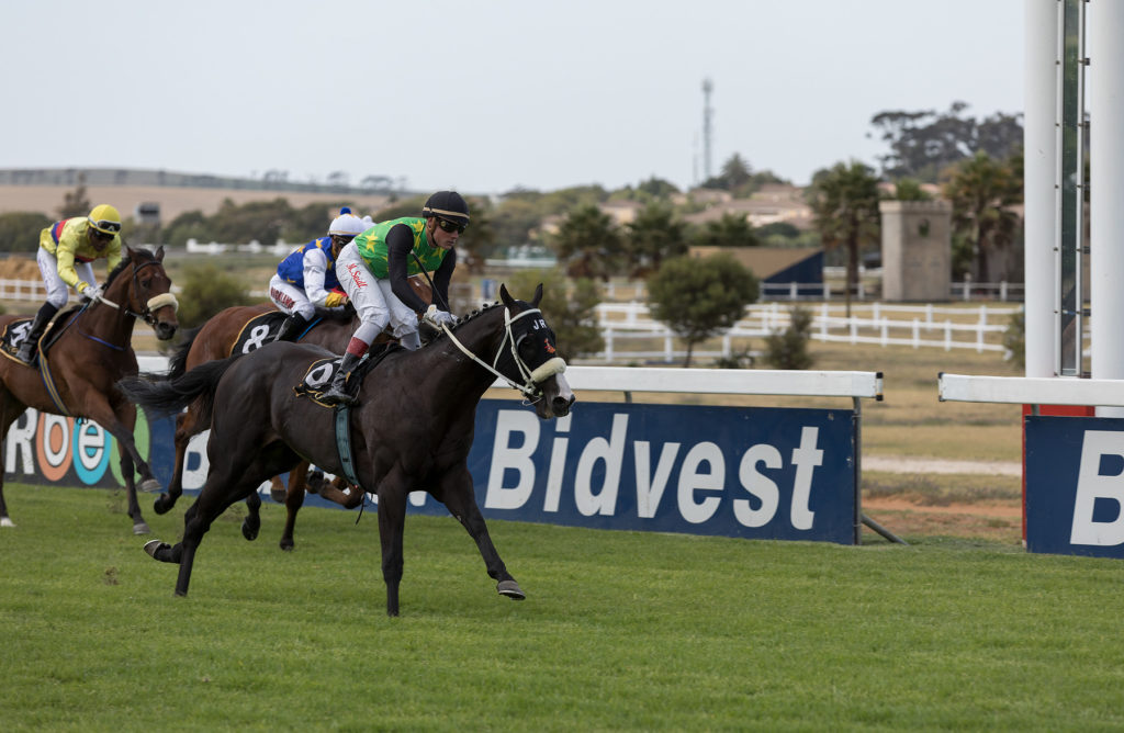 Martin brings home Silver Coin with aplomb (photo: hamishNIVENPhotography)