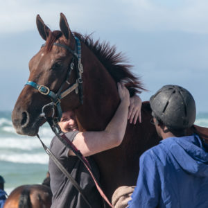 Elusive Silva gets some love from Teresa Esplin (photo: hamishNIVENPhotography)