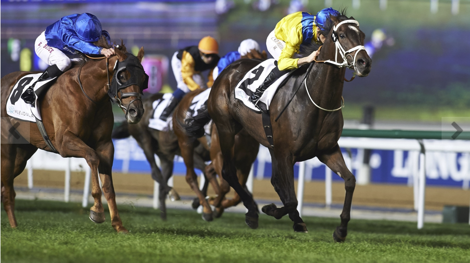 Light The Lights wins the Mubadala Global Trophy (photo: HKJC)