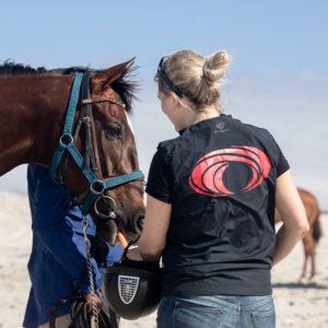 Racehorses eat carrots too! (photo: hamishNIVENPhotography)