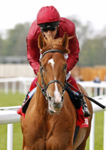 WINGS OF DESIRE (Frankie Dettori) winner of The Betfred Dante Stakes York 12 May 2016 - Pic Steven Cargill / Racingfotos.com