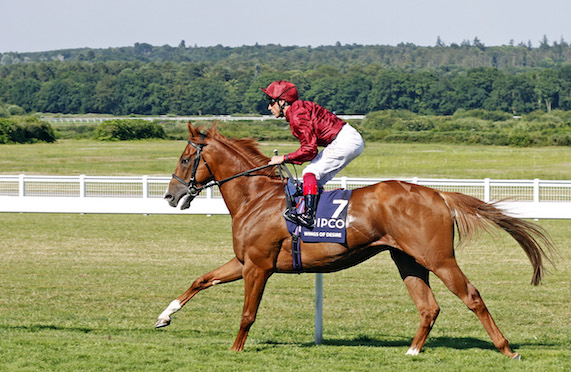 WINGS OF DESIRE (Frankie Dettori) - Pic Steven Cargill / Racingfotos.com