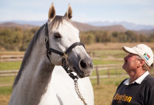 Duncan with Blue Tiger (photo: hamishNIVENPhotography)