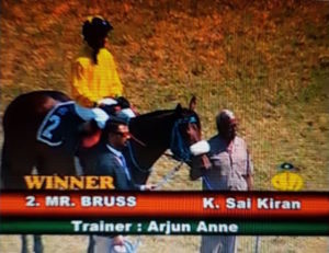 Mr Bruss wins on debut (photo: supplied)