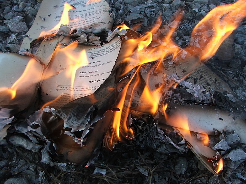Burning book (photo: Wikipedia)