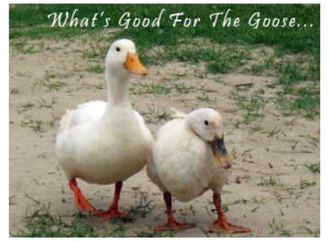 What's Good for the Goose