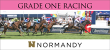 Normandy Racing Fractional Ownership