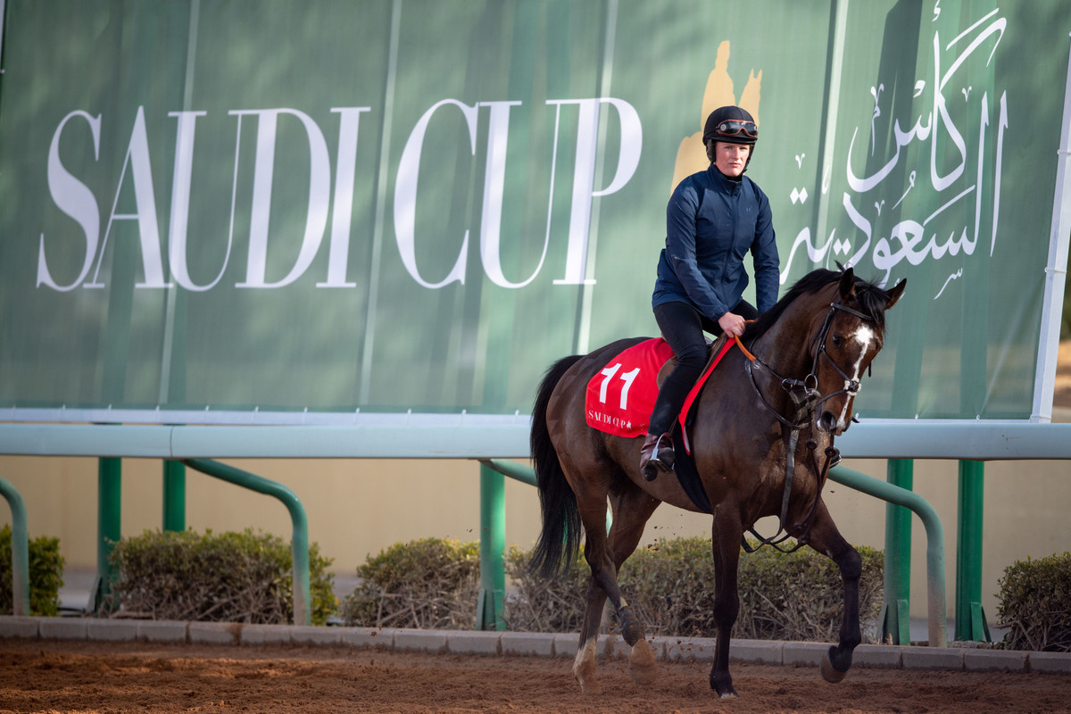 Saudi Cup Meeting Your Racecard Sporting Post