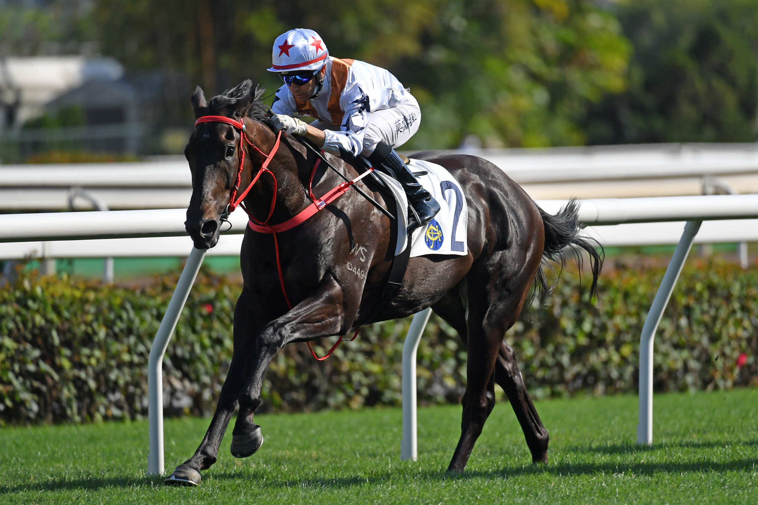 kenilworth racecard