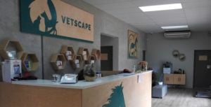 Vetscape Referrals Equine Receptione