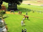 Where Are You Racing On Tuesday?