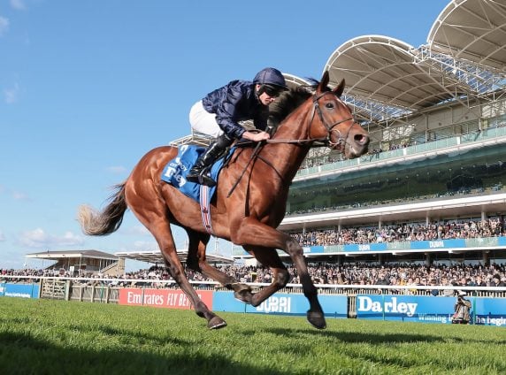 Justify Colt Bids For Guineas Victory