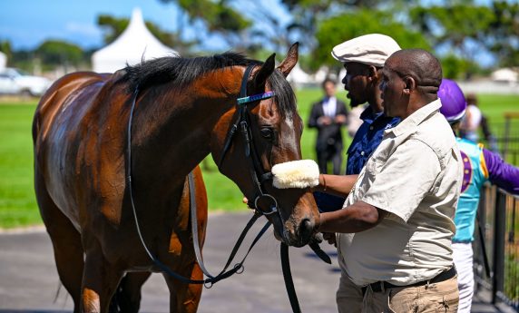 Saartjie - SplashOut Gr3 Victress Stakes (Pic - Chase Liebenberg)