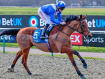 Southwell And Kempton – Premier Racemeetings Today