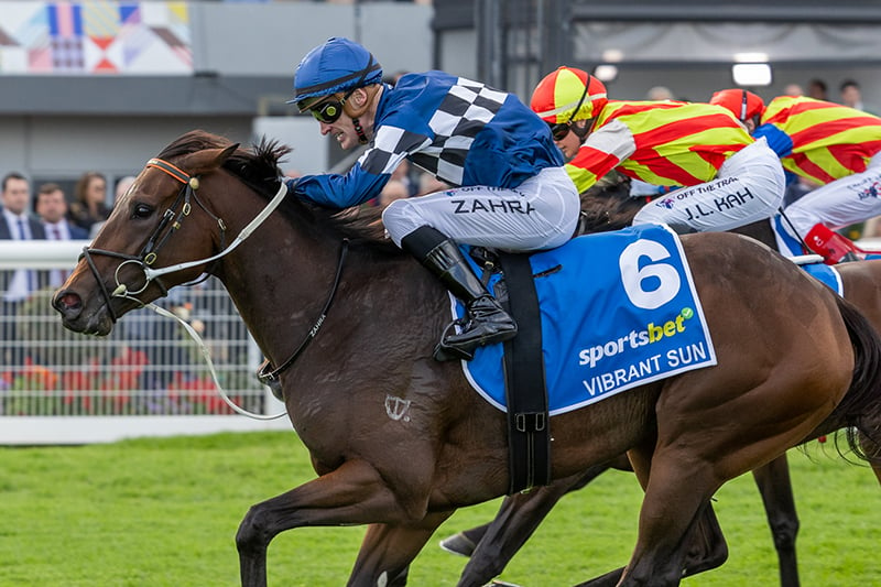 The Vibrant Sun Shines At Morphettville