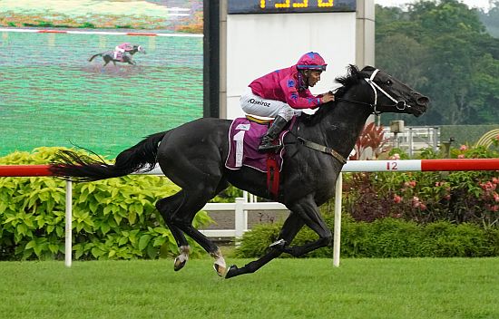 Ace Of Diamonds under Bruno Queiroz wins the Group 2 Singapore Guineas