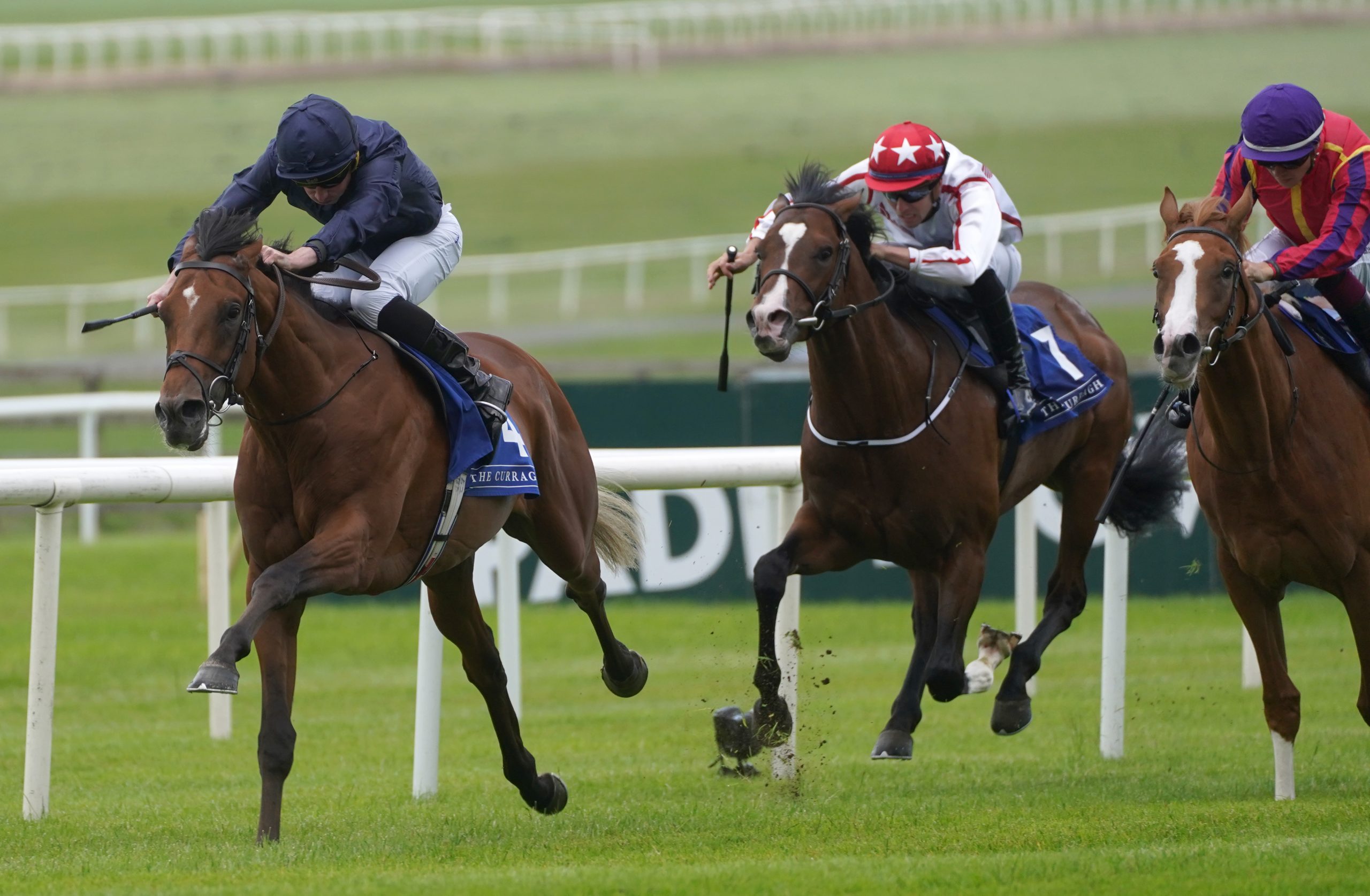 City Of Troy in action - He still remains Ballydoyle's first choice