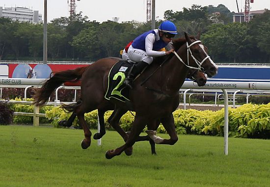 Ejaz will have his first test on the Polytrack in the Class 3 race this Saturday