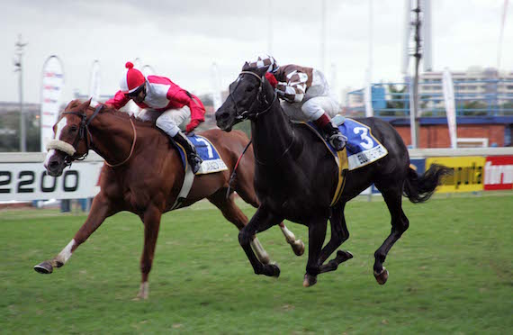 Elusive Fort – won the Daily News in 2006