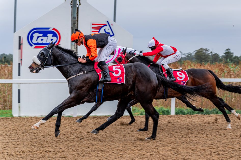 Inherit The Rain under Richard Fourie wins the NBT Fairview 1400