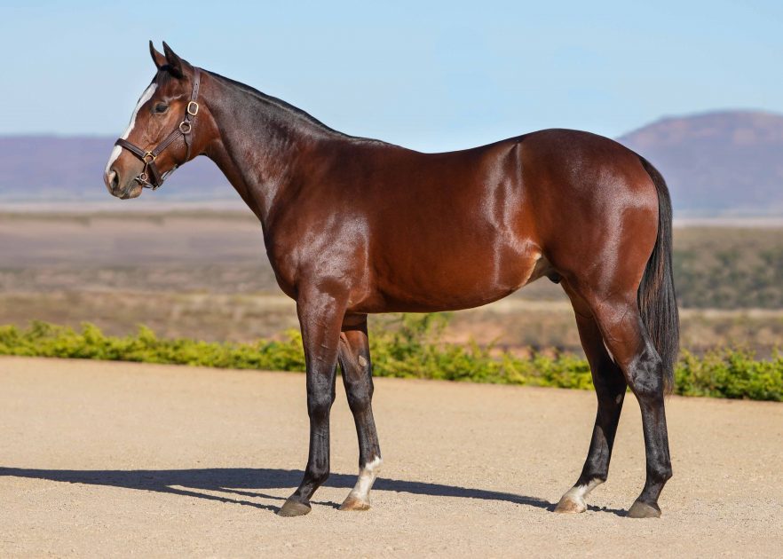 Lot 46 Matroosberg
