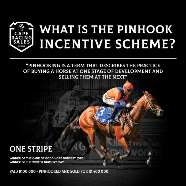 Image explaining what pinhooking is