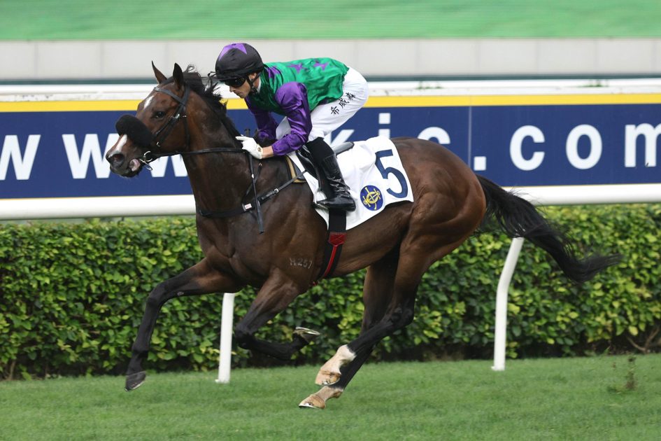 Flaming Rabbit is chasing a third Sha Tin win