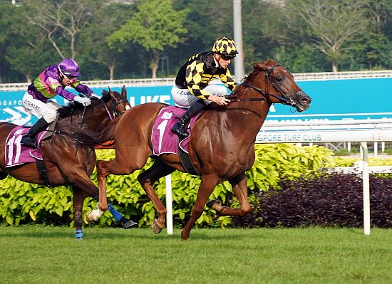 Golden Monkey will partner jockey Ryan Curatolo for the first time on Sunday