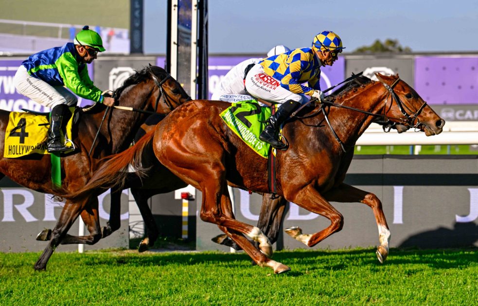 Grant van Niekerk gets Katsu up to beat Chollima (Rob Khathi, obscured) and Solar Power (Corne Orffer) in a tight finish to the seventh