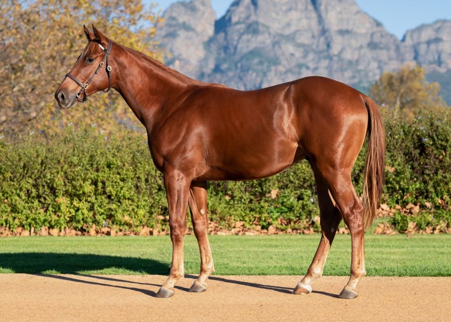 Lot 110