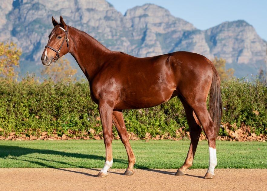 Lot 3