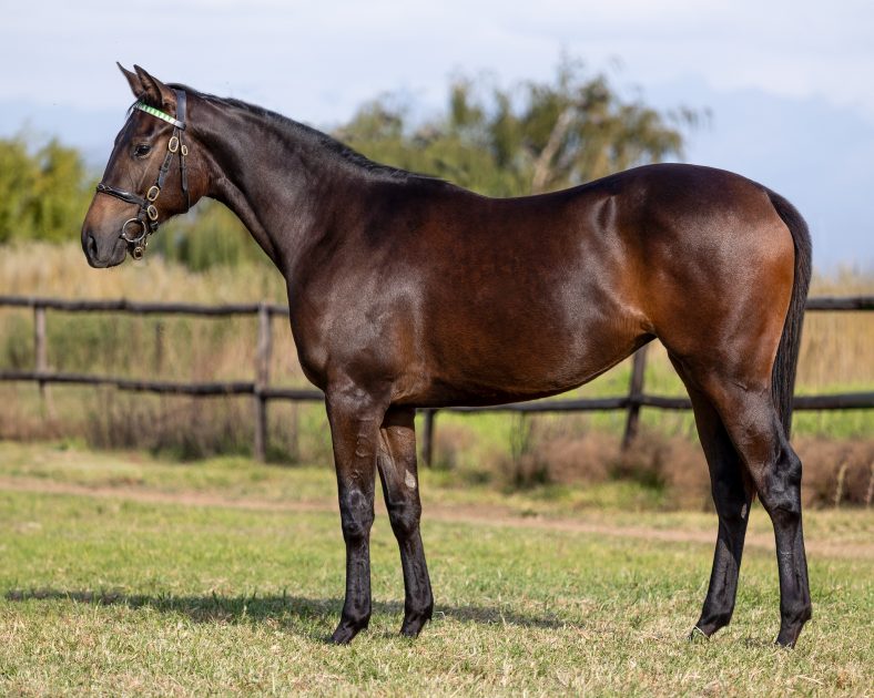 Lot 30