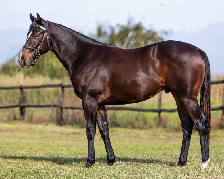 Lot 32