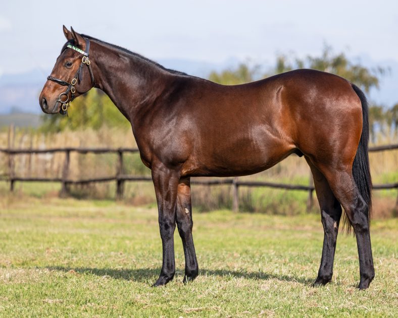Lot 38