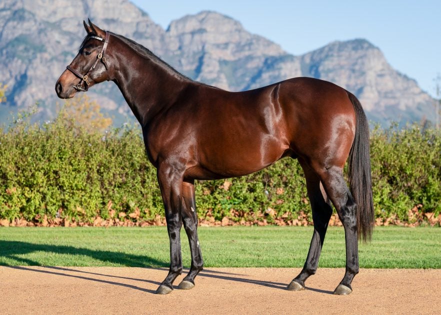 Lot 57
