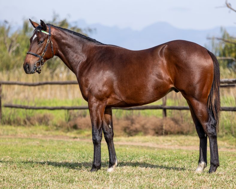 Lot 58