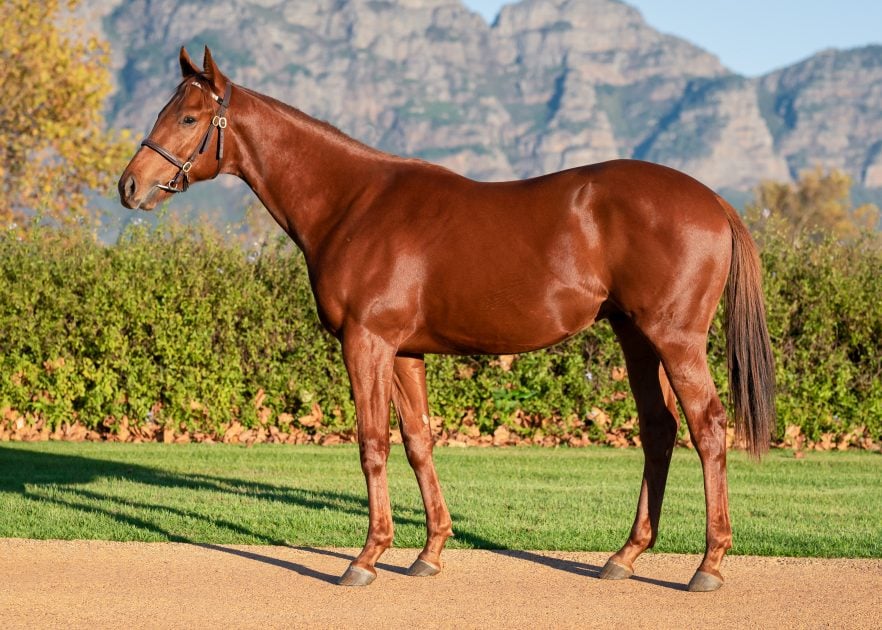 Lot 66