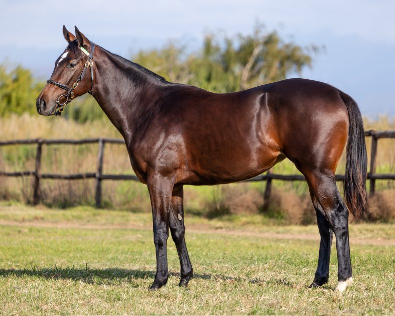 Lot 76