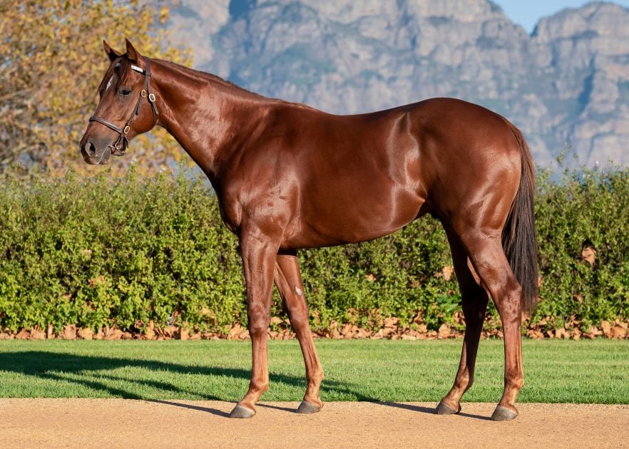Lot 95