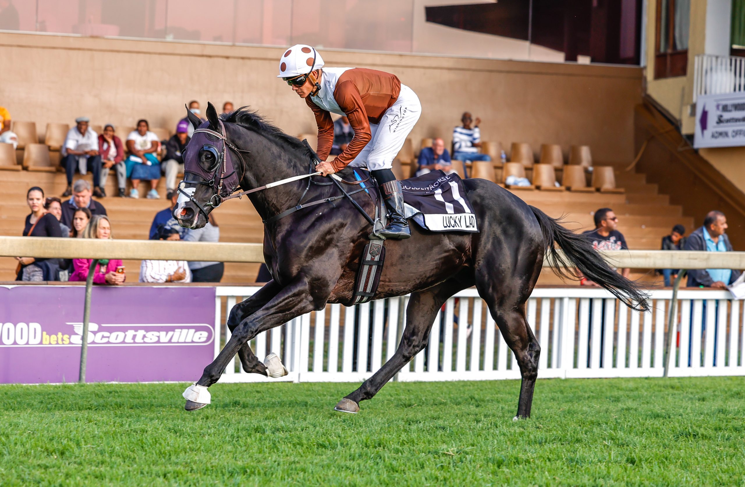Lucky Lad and Richard Fourie will team up for Sean Tarry in Race 6